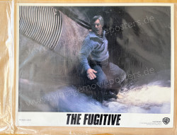 Fugitive, The (Fugitive, The)