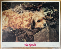 Benji the Hunted (Benji the Hunted)