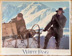 Wolfsblut (White Fang)