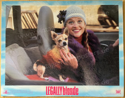 Natürlich blond (Legally Blonde)