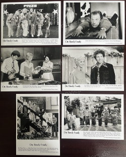 Brady Bunch Movie, The (Brady Bunch Movie, The)