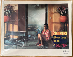 Women on the Verge of a Nervous Breakdown (Mujeres al borde de un ataque de nervios)