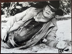 True Grit (True Grit)