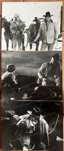 True Grit (True Grit)