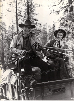 Rooster Cogburn (Rooster Cogburn)