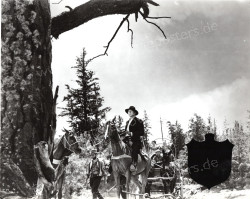 Hanging Tree, The (Hanging Tree, The)