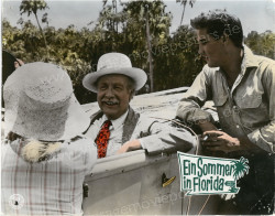 Sommer in Florida, Ein (Follow That Dream)