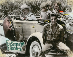 Sommer in Florida, Ein (Follow That Dream)