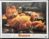 Garfield: Der Film (Garfield: The Movie)
