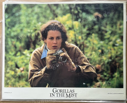 Gorillas im Nebel - Die Leidenschaft der Dian Fossey (Gorillas in the Mist: The Story of Dian Fossey)